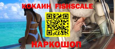 СК Дубна