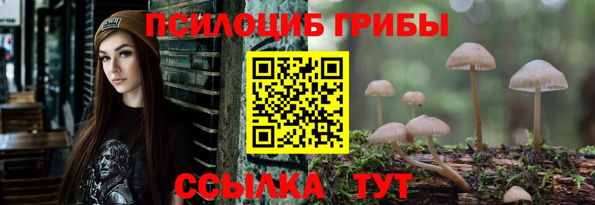 Псилоцибиновые грибы GOLDEN TEACHER  что такое наркотик  Новодвинск  Псилоцибиновые грибы Cubensis  Вход с VPN 